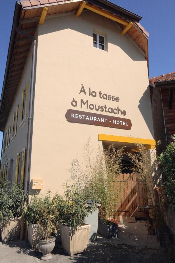 Hotel A La Tasse A Moustache Thonon-les-Bains Exterior foto